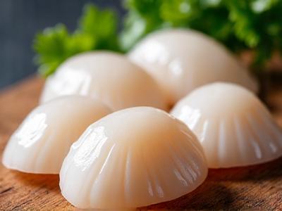 Kerang Simping