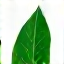 Keberlanjutan